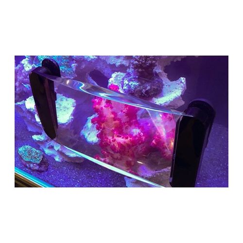 מקספקט זכוכית מגדלת + פראגיה Maxspect Fragnifer FG-100