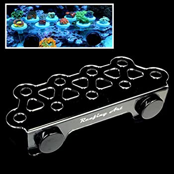 מדף פראגים מגנטי מדיום Reefing Art Medium Magnetic Coral Frag Rack