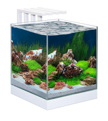 ציאנו אקווריום Ciano Nexus Pure 25