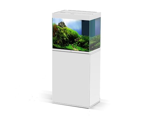 ציאנו אקווריום Ciano Emotion 60 Pro White