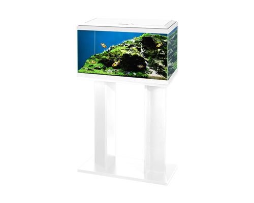 ציאנו אקווריום Ciano Aqua 60 White