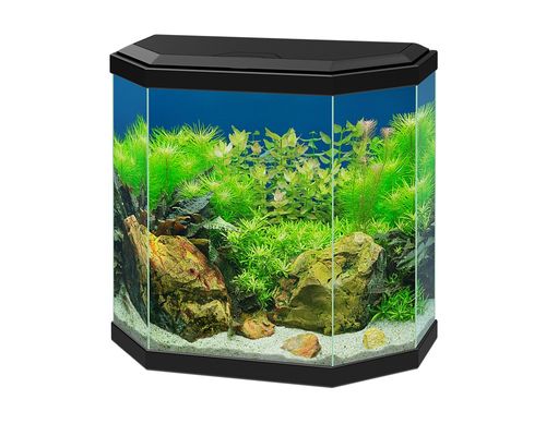 ציאנו אקווריום Ciano Aqua 30 Black