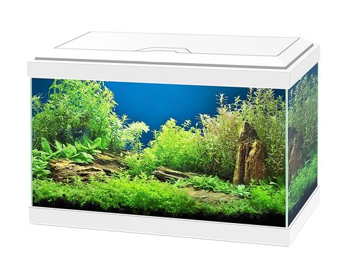 ציאנו אקווריום Ciano Aqua 20 White