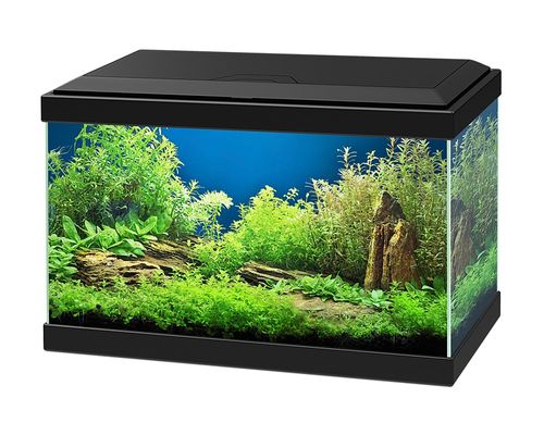 ציאנו אקווריום Ciano Aqua 20 Black