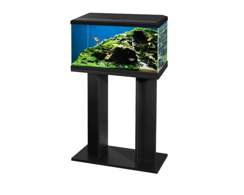 ציאנו אקווריום Ciano Aqua 60 Black