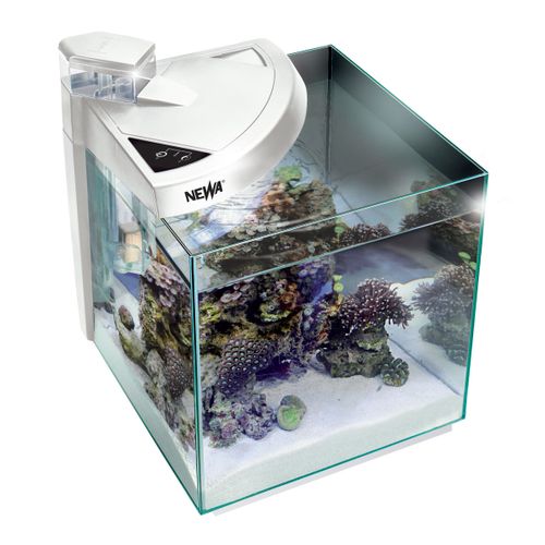 אקווריום נווה שולחני לבן Newa More Reef 30R 28L