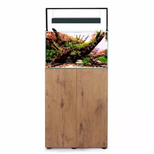 אקוול אולטרה סקייפ Aquael UltraScape 60 Forest