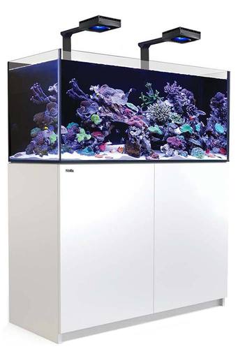 רד סי אקווריום ריפר 425 +G2 לבן