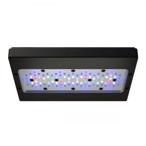אקוטק מרין תאורת רדיון XR30 G6 PRO