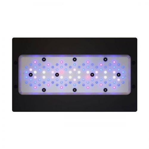 אקוטק מרין תאורת רדיון XR30 G6 BLUE