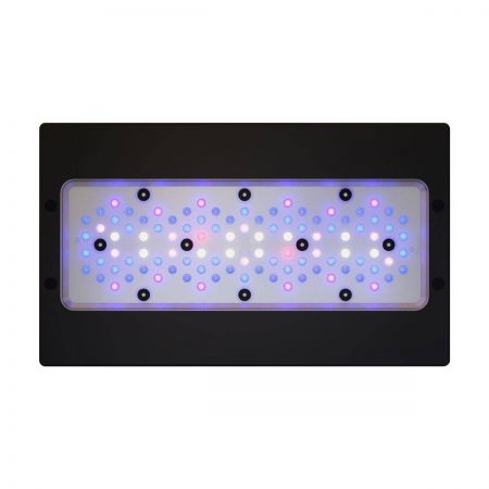 אקוטק מרין תאורת רדיון XR30 G6 BLUE