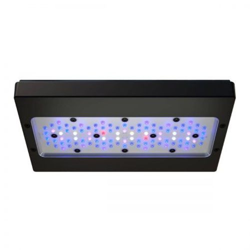 אקוטק מרין תאורת רדיון XR30 G6 BLUE