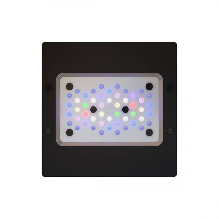 אקוטק מרין תאורת רדיון XR15 G6 PRO