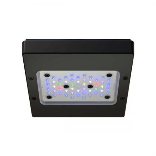 אקוטק מרין תאורת רדיון XR15 G6 PRO