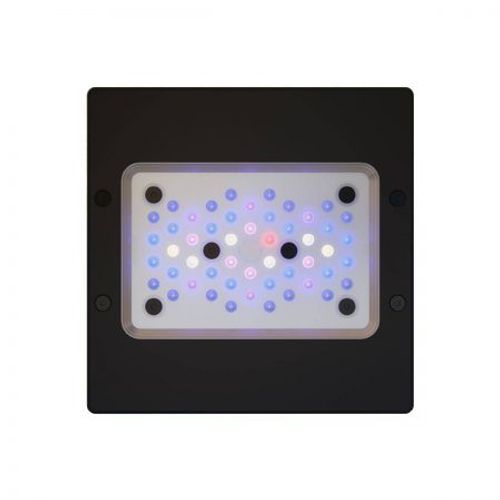 אקוטק מרין תאורת רדיון XR15 G6 BLUE