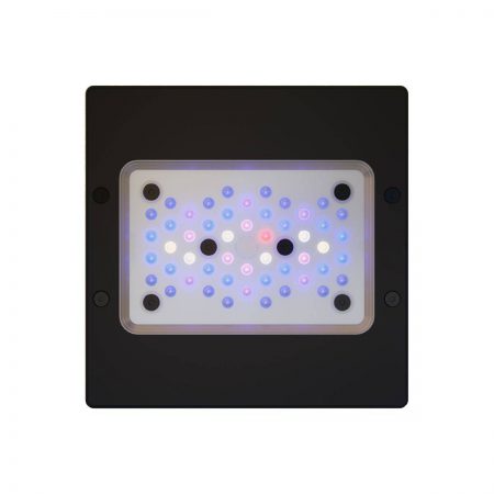 אקוטק מרין תאורת רדיון XR15 G6 BLUE
