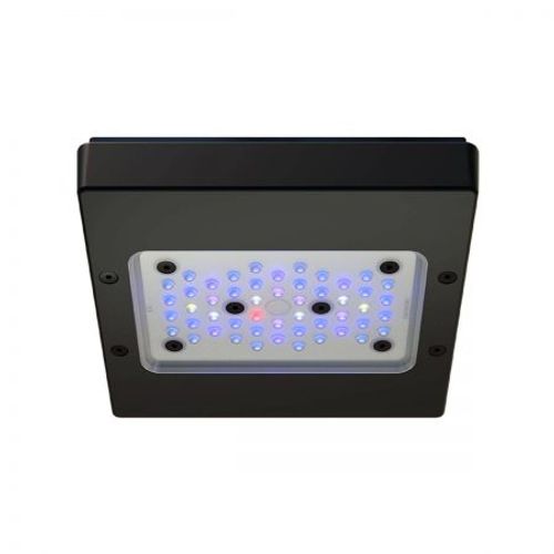 אקוטק מרין תאורת רדיון XR15 G6 BLUE