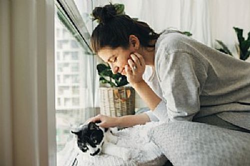 This is a cat, The cat!