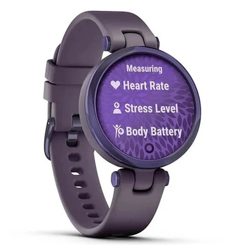 שעון חכם Garmin Lily Sport