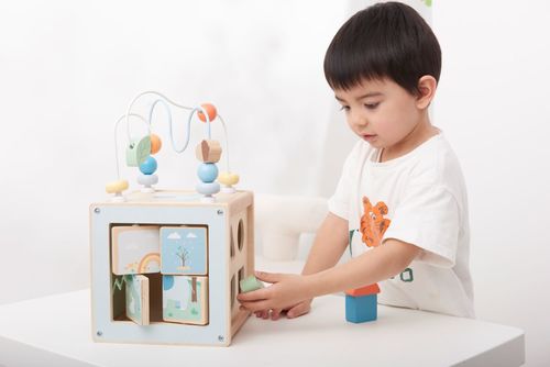קוביית פעילות - יער