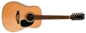 גיטרה אקוסטית 12 מיתרים Budagov AC12-NL