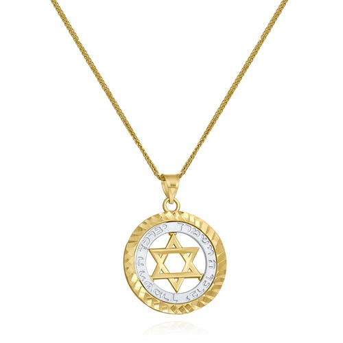 שרשרת ותליון מגן דוד וברכת הכהנים (18.5ממ) זהב 14K