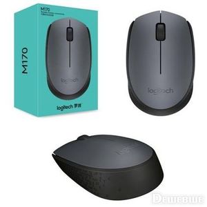 עכבר Logitech M170