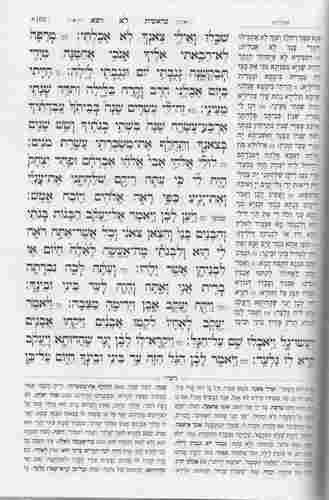חמישה חומשי תורה- פורמט בית כנסת בינת הלב