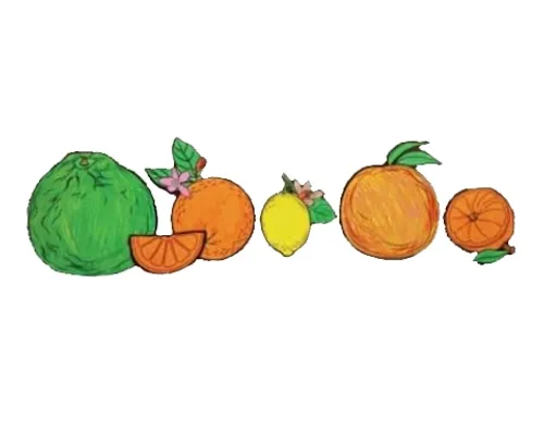 פירות הדר לצביעה ויצירה - 36 יח'