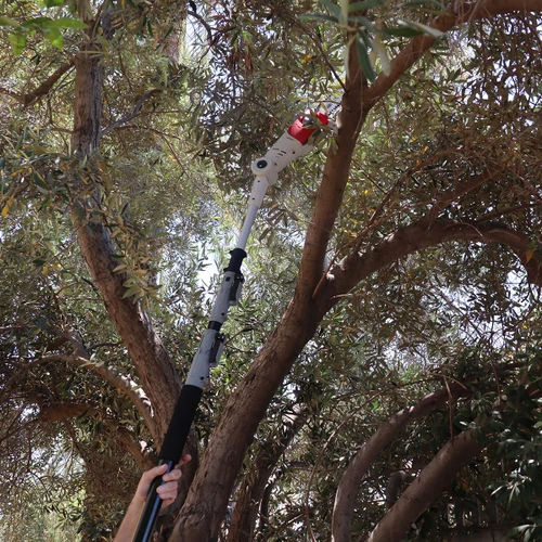 מסור גובה טלסקופי נטען 20V תוצרת IKRA דגם ICPS 2020 | גוף בלבד