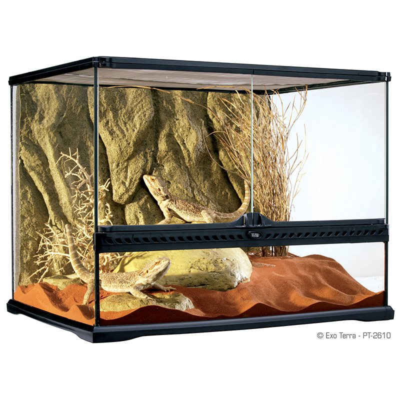 טרריום בינוני רחב 60X45X45H ס"מ אקזוטרה
