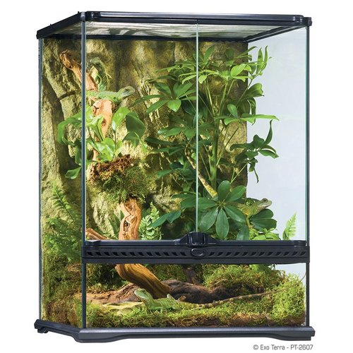 טרריום בינוני גבוה 45X45X60H ס