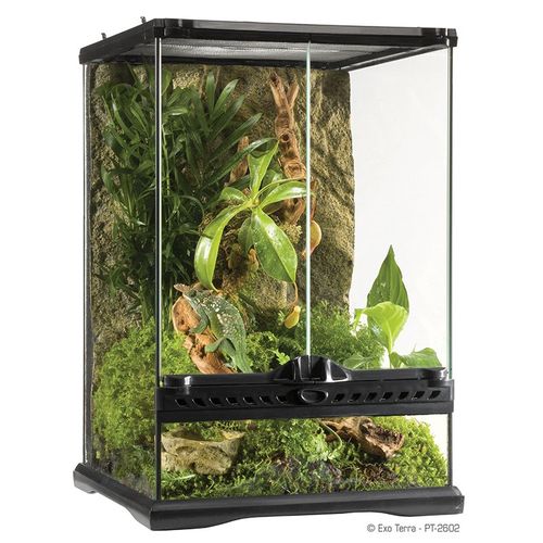 טרריום מיני גבוה 30X30X30H ס