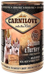 CARNILOVE פחית סלמון והודו לגורים