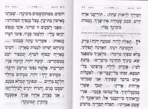 תהילים כריכה קשה- דגם כותל פורמט גדול