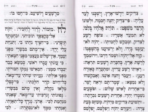 תהילים כריכה קשה- דגם כותל פורמט גדול