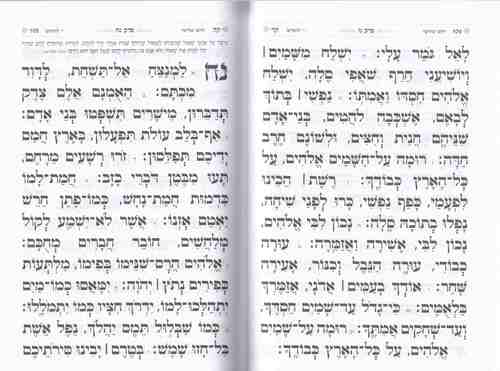 תהילים גודל בינוני -דגם נבל