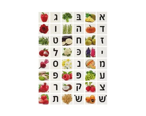 מדבקות אותיות א-ב ותמונות של פירות וירקות - דגם 1493
