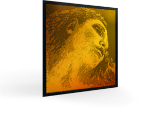 סט מיתרים לכינור Pirastro Evah Pirazzi Gold Violin