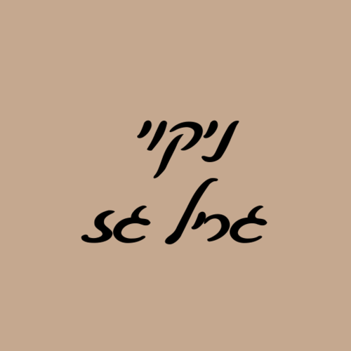 ניקוי גריל גז בבית הלקוח