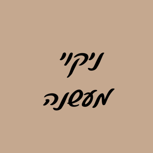 ניקוי מעשנה בבית הלקוח