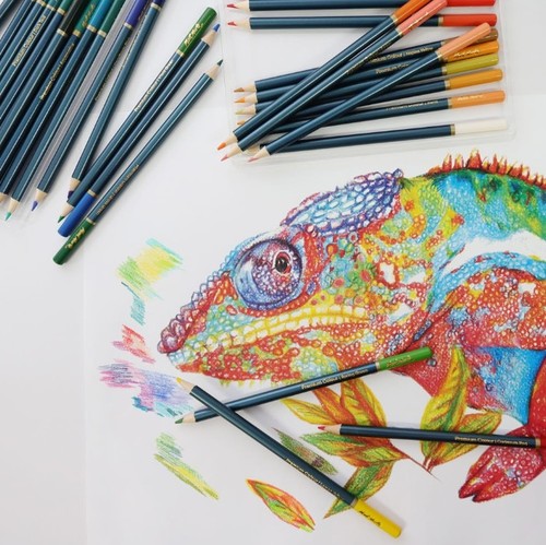 סט 72 עפרונות צבעוניים COLOUR PENCILS Premium 