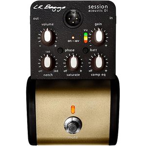 L.R BAGGS Session DI with analog saturation and multiband compression/EQ L.R.BAGGS