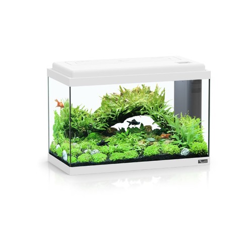 אטלנטיס אקווריום לד ביו לבן Atlantis LED Bio 50 White