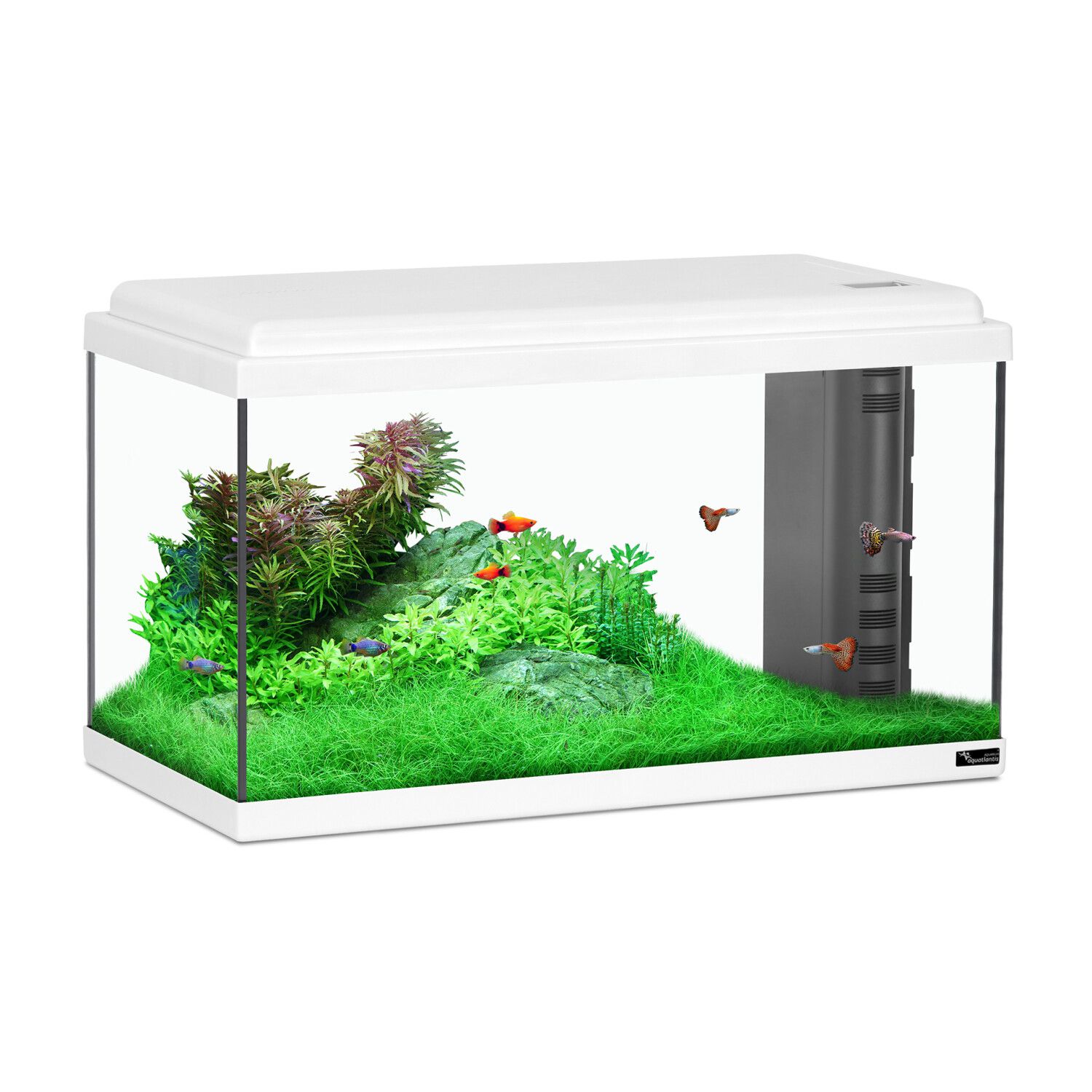 אטלנטיס אקווריום לד ביו לבן Atlantis LED Bio 60 White Aqua Atlantis