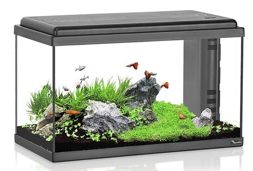 אטלנטיס אקווריום לד ביו שחור Atlantis LED Bio 60 Black Aqua Atlantis