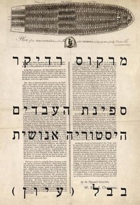 ספינת העבדים היסטוריה אנושית (יד 2) - מרקוס רדיקר בבל