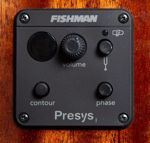 זוית נוספת Breedlove Discovery S Concert Nylon CE