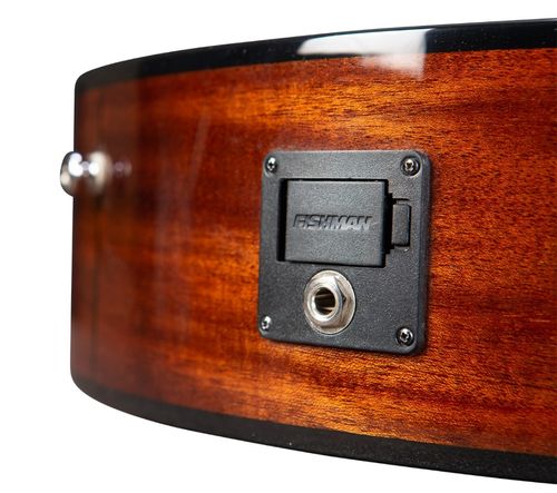 זוית נוספת Breedlove Discovery S Concert Nylon CE