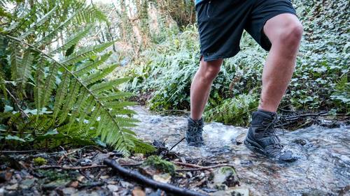 נעלי סלומון לגברים  SALOMON Quest 4 GTX